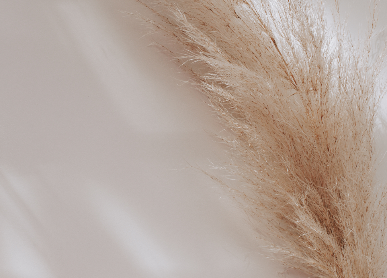 Lead With AJ is a company and will help you with your business. LEAD WITH AJ will assist you. lead with aj is so supportive.